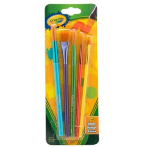 5 Assorted Premium Paint Brushes