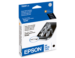 EPSON Photo Black Ink Cartridge / Stylus Photo R2400